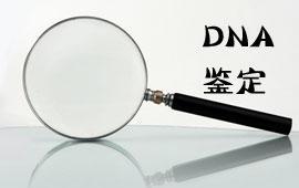 亲子鉴定DNA专家对做鉴定的看法