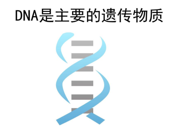 DNA标志系统检测技术成熟